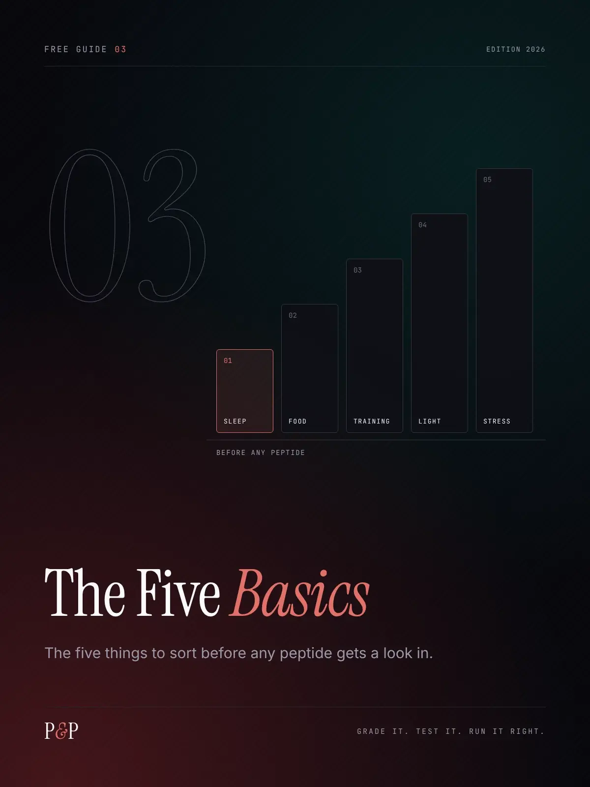 Cover of Free Guide 03, The Five Basics, with five rising blocks.